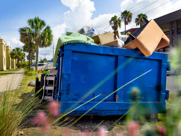 Best Basement Cleanout Services  in Chenoa, IL